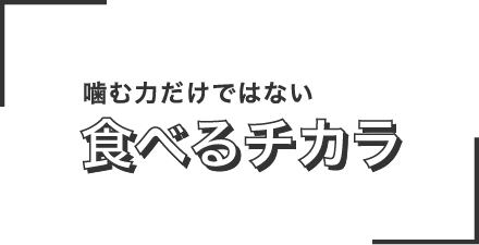 噛む力だけではない食べるチカラの解明へ