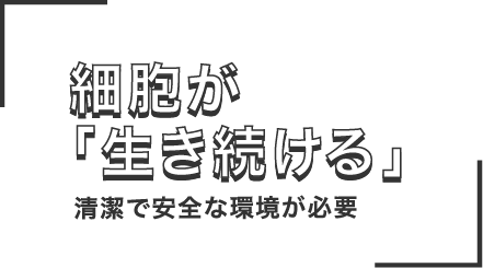 細胞が生き続ける清潔で安全な環境が必要