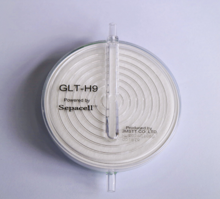 GLT-H9